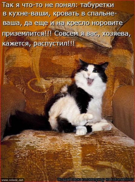 Кажется, распустил!!!