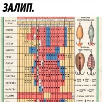 Рыбалка