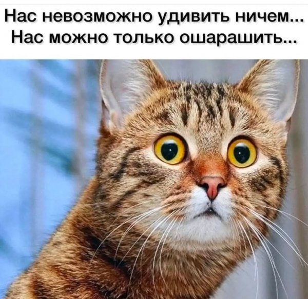 Madam plus 3eff07332d0842078fb0dfb04808e269