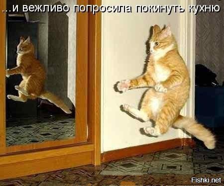 ))
