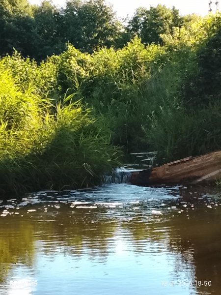 picture_419013181