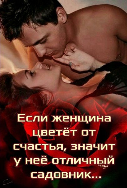 Любовь