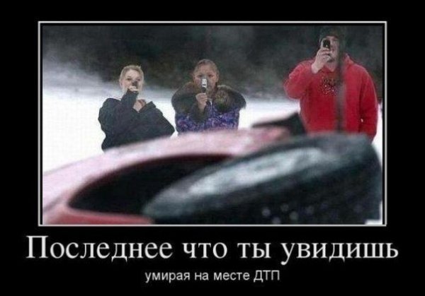Демотиватор