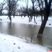 Изображение (7)