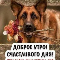 Доброе утро!