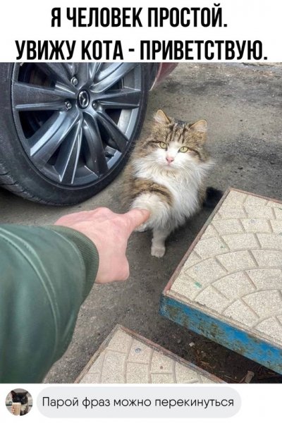 Привет!
