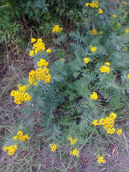 Nuotrauka0153