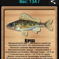 Ёрш