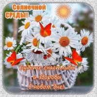 Друзья мои!