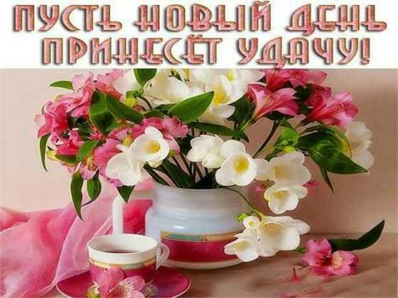 IMG-ee7509b43bfc749ad996f3613d830ca5-V
