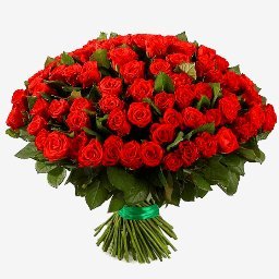 розы