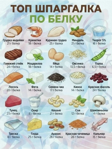 Белки шпаргалка