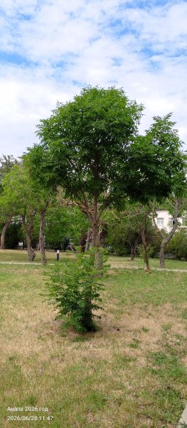 Анапа.Парк Ореховая роща
