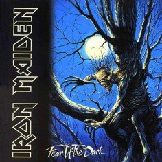 Iron maiden