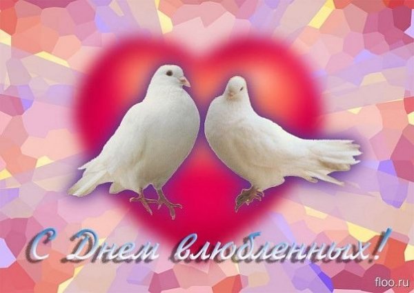 getImage000