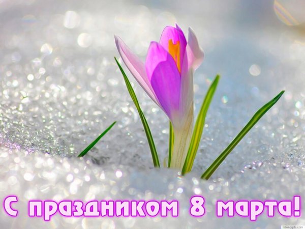 picture_162502456