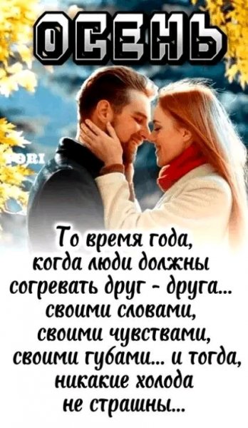 picture_397755872