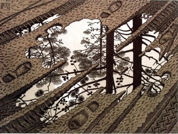 М. К. Эшер &quot;Лужа&quot; 1952г
