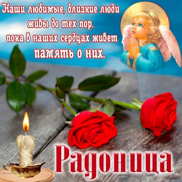 IMG-20240514-WA0002