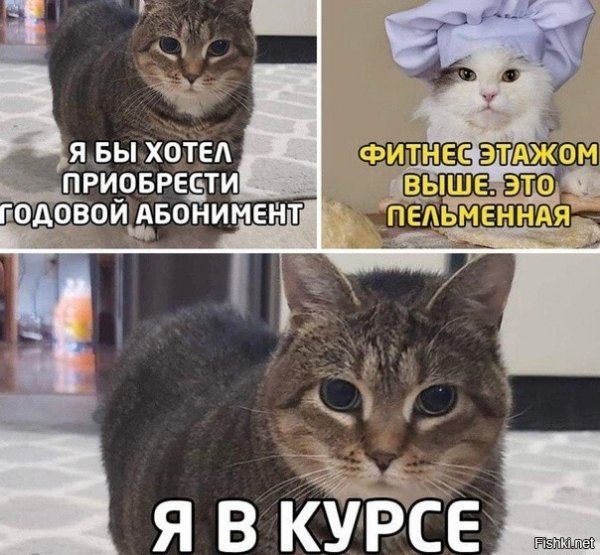 ))