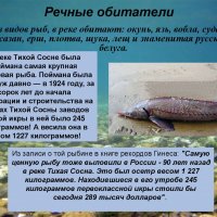 Речные обитатели