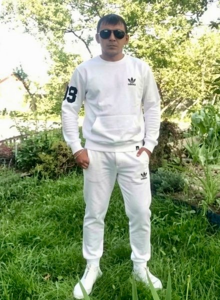 picture_416275683