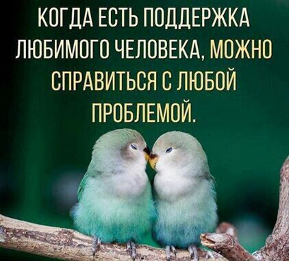 wap sasisa ru