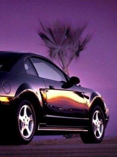 Mustang-
