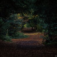 The-Park-In-Lincoln-Lincolnshire-England