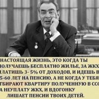 Настоящая жизнь...