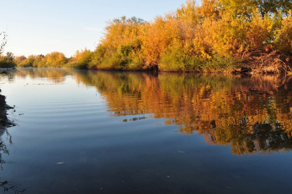 На воде