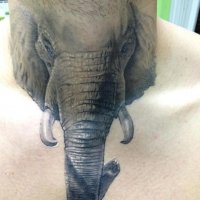 Tattoo (781)