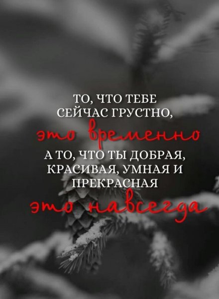 IMG 20250730 080613