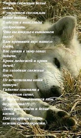 IMG 20190818 162419