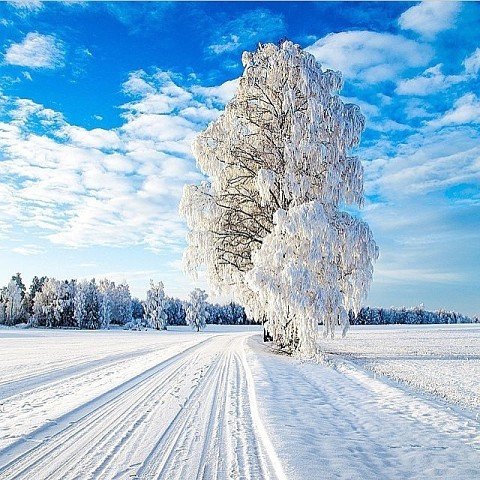Зима