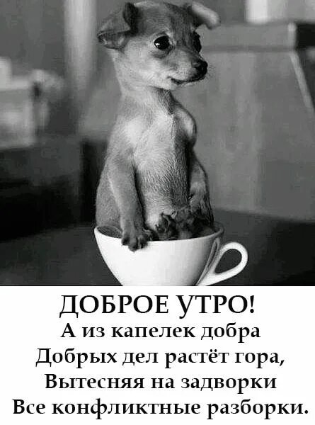 Доброе утро!