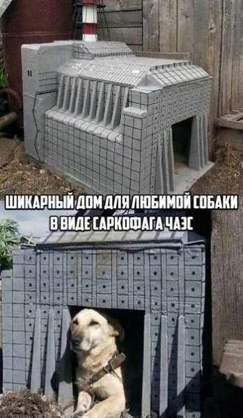 F15fabe5f4b9fba1053dcd393a0a31d5