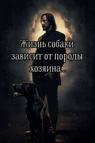 9u7EkK8B8Wc82Vun1XGq g7ueE0D1jJNMpPjGE9BXHaJWHxCrDBPmtAt5lv7