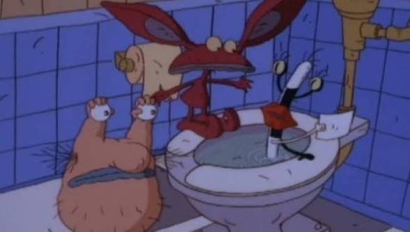 Images (13)