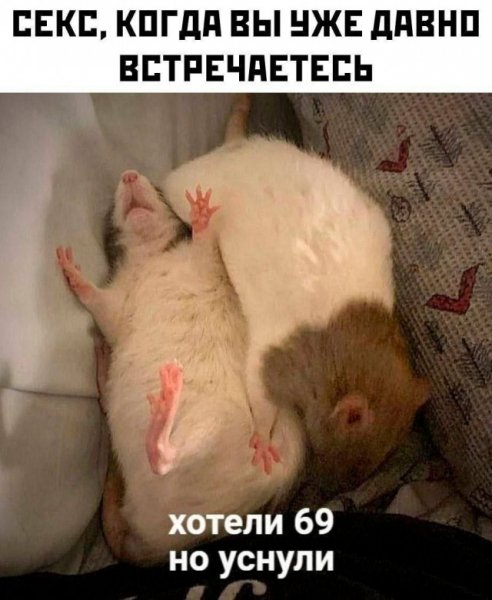 )