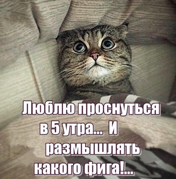 Какого фига!...