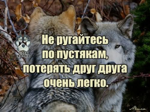 picture_215791316