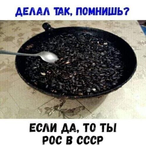 IMG 20220807 112428
