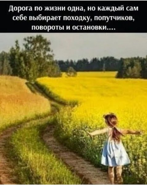 Повороты и остановки...