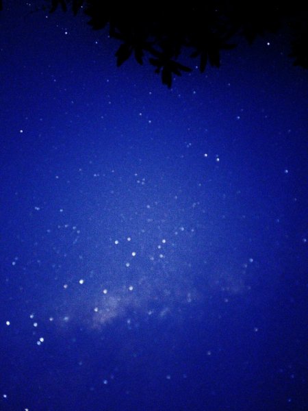 picture_418838854