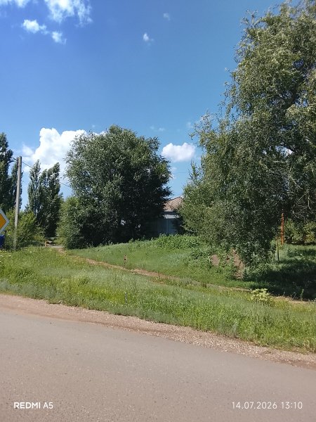 picture_419012995