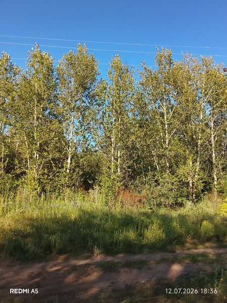 picture_419013253