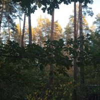 IMG-20250921-WA0003