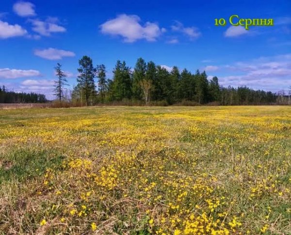 10 Серпня