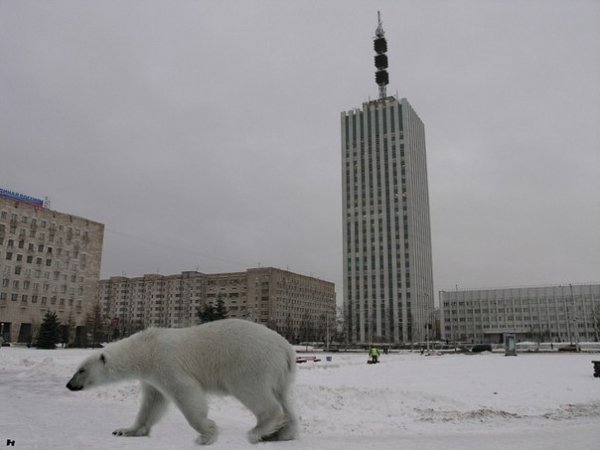 Обычное дело Архангельск